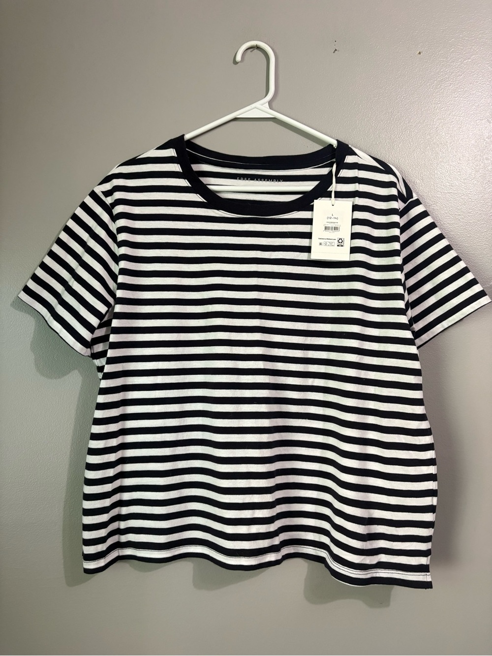 NWT Free Assembly Crop Boxy Tee